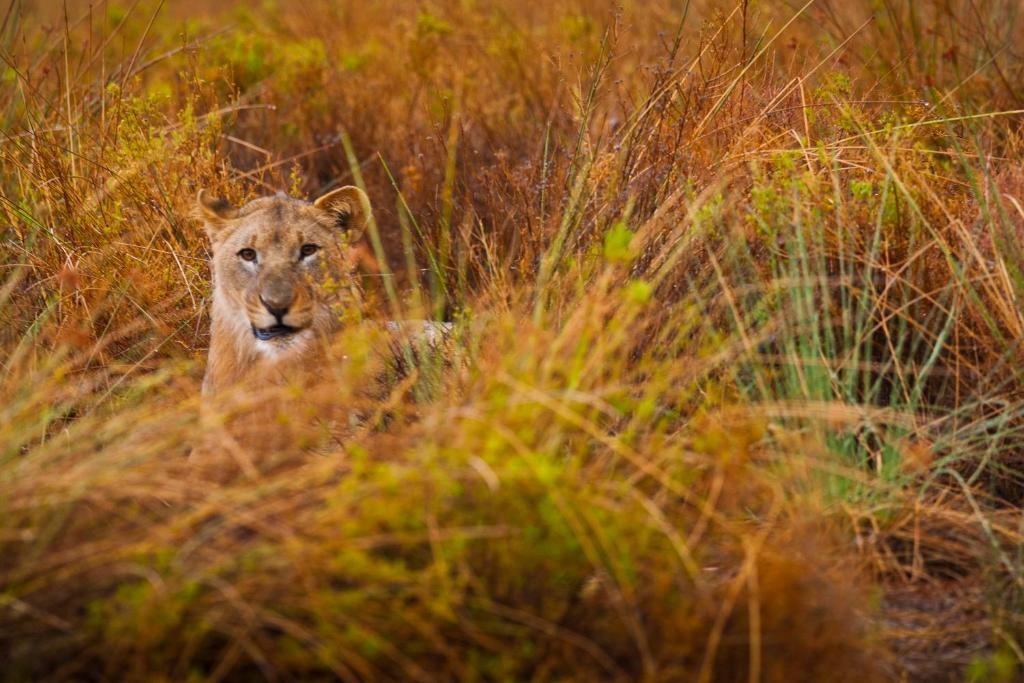 Grootberg Lodge Дамараленд Екстер'єр фото